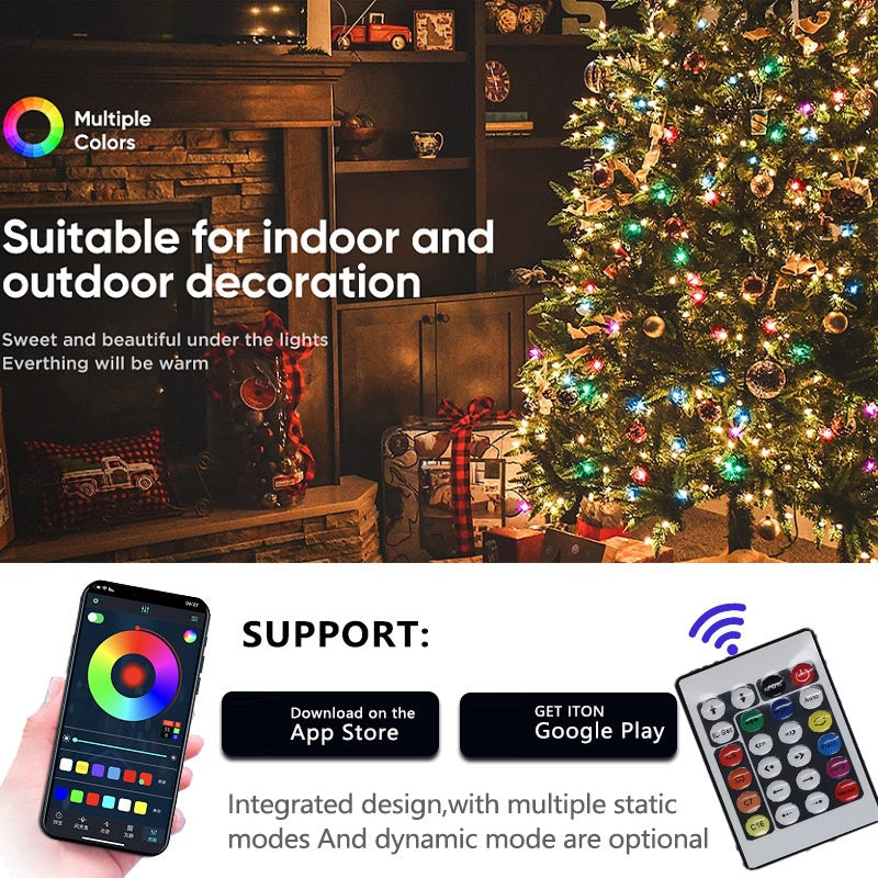 Decorative lights with smartphone app and remote control, suitable for indoor and outdoor use.