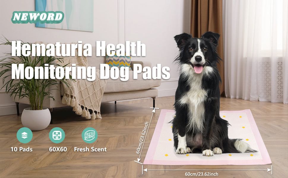 Dog health monitoring pee pads – color changing pet training pads