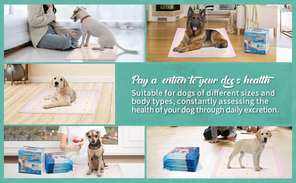 Dog health monitoring pee pads – color changing pet training pads